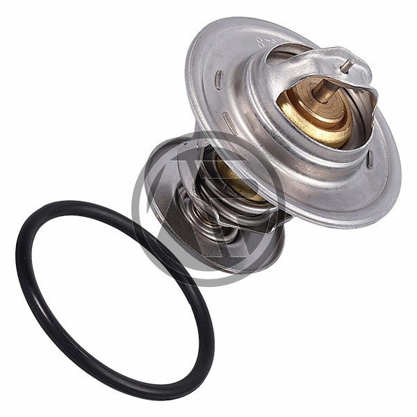 044121113 D- TERMOSTATO VAG 87º 54MM
